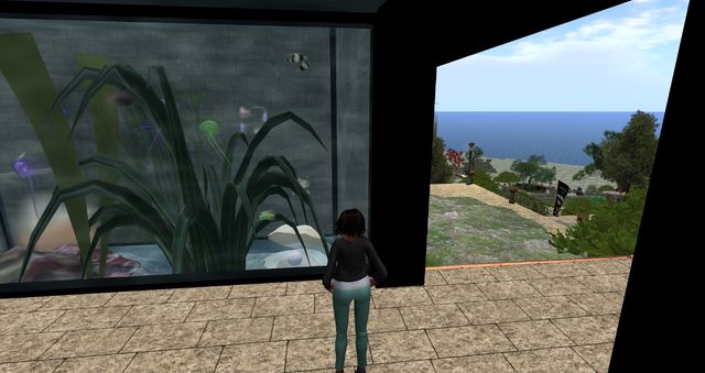 File:Snapshot 049.png