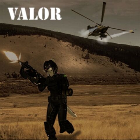 File:Valor Poster.jpg