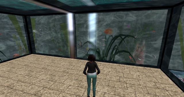 File:Snapshot 050.png