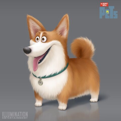 File:Corgi.jpg