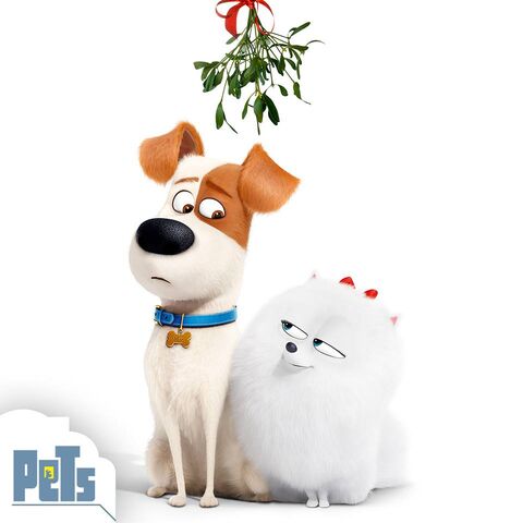 File:Max and gidget christmas.jpg