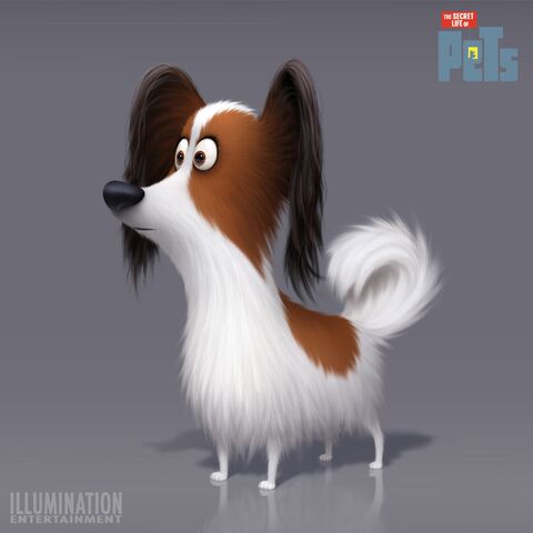 File:Papillon.jpg