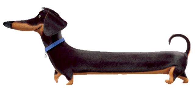 File:Buddy dog.png