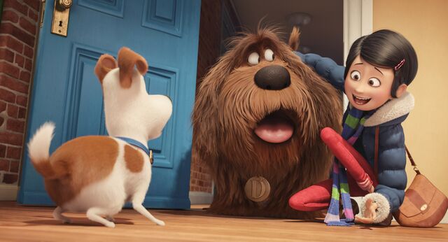 File:The-Secret-Life-of-Pets-trailer.jpg