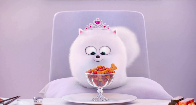 File:Princess Gidget.png