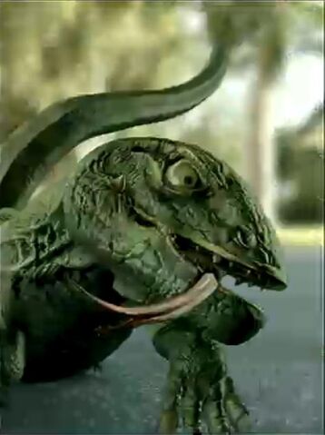 File:Komodoface.jpg