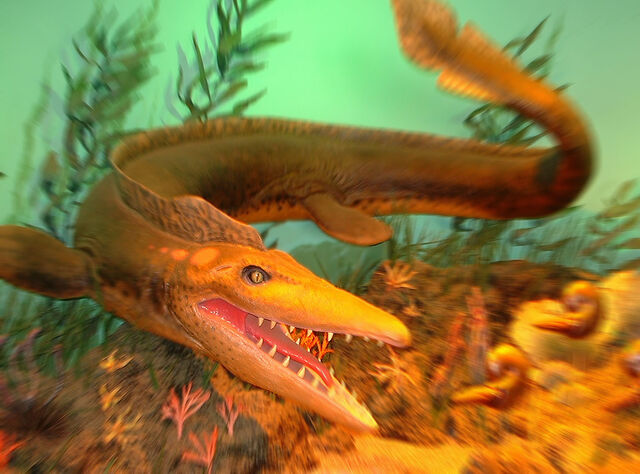 File:Mosasaur.jpg