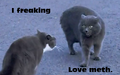 Thumbnail for version as of 18:20, April 30, 2012