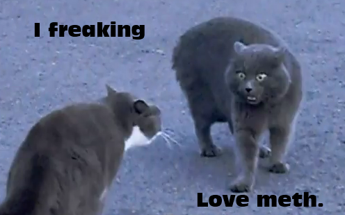 File:Methcat.png