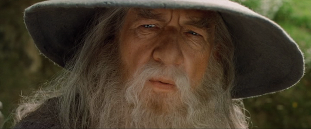 Fichier:Gandalf reveur.png