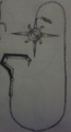 Thumbnail for version as of 00:32, June 8, 2013