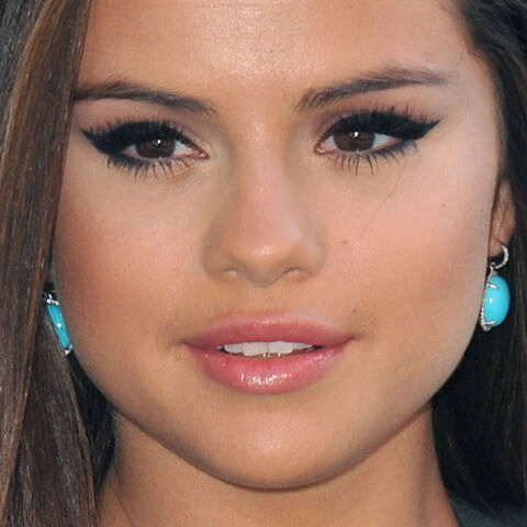 Plik:Sel makeup.jpg