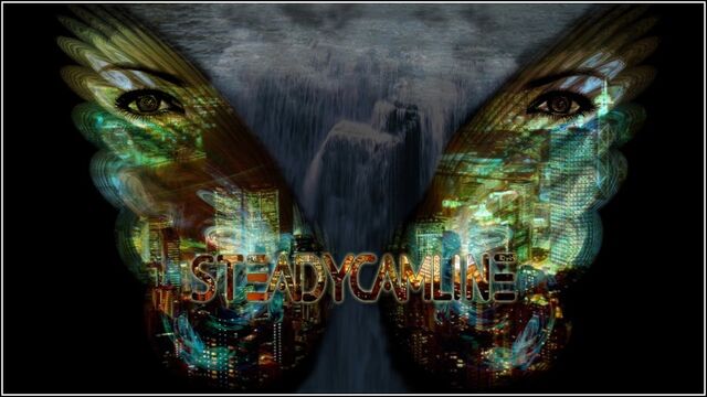 File:SteadycamlineCover(Wings).jpg