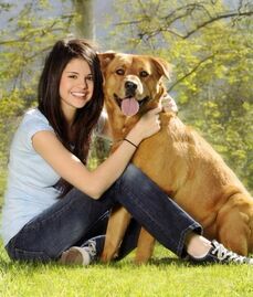 K,Njg3MjE4OTQsNDY5NTQwNjk=,f,selenagomezzpsem hB medium