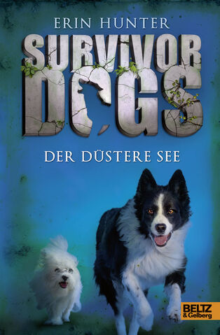 Tiedosto:Germanendlesslake.jpg