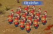 Elite infantry