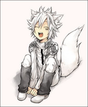 Animenekoboy