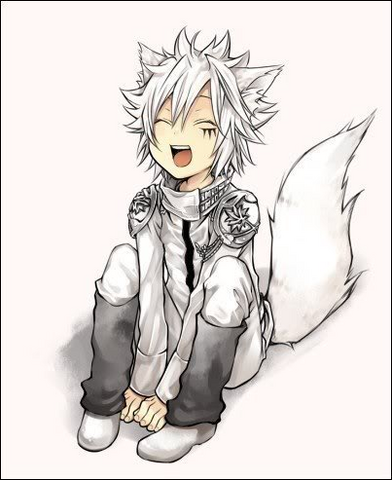 File:Animenekoboy.png