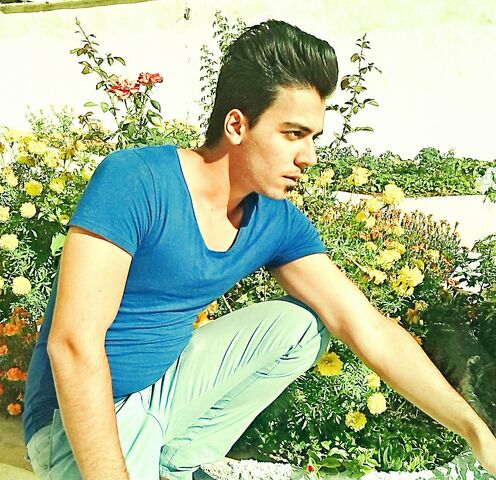 File:Dash SAEID (10).jpg
