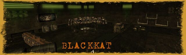 File:BeFunky Blackkat.jpg.jpg