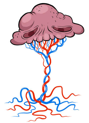 File:Spleen.png
