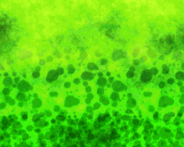 File:Memory.gif