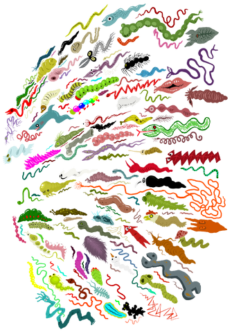 File:Wormbow.png