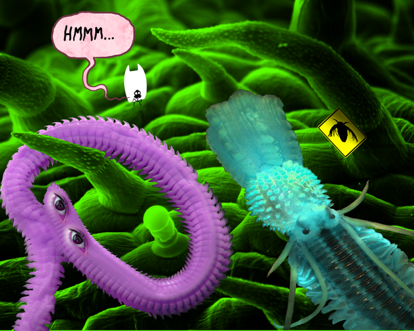 File:Phageshiftzero.png