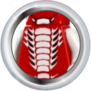 File:Badge-category-5.png