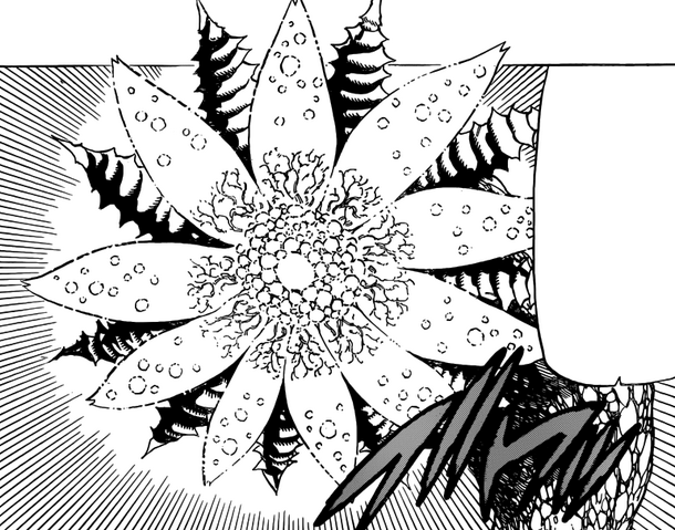Fichier:Tournesol.png