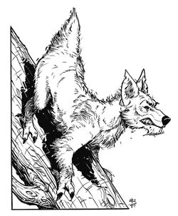 Climbdog.jpg