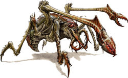 Armadon