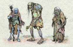 Hag3.jpg
