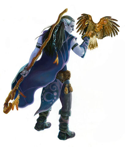 Plik:Wallpaper Class Druid.jpg