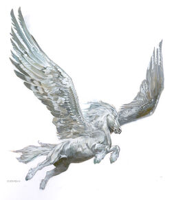 White pegasus.jpg