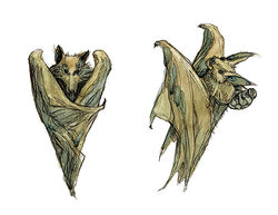Bats2.jpg