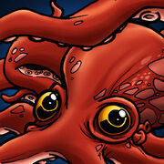 Oktopus.jpg