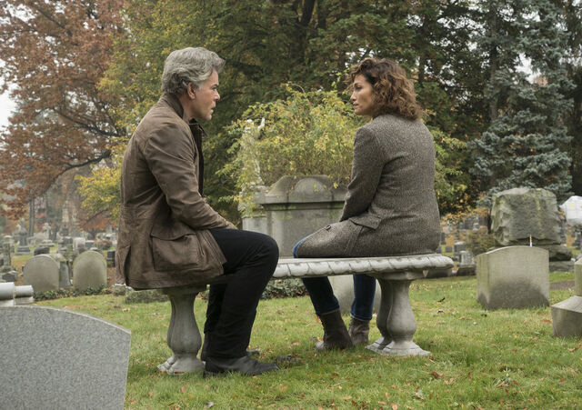 File:One-Last-Lie-Still-5.jpg