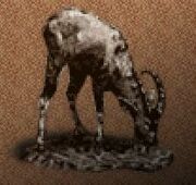 Kgoat