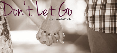 File:Don't Let Go Banner.jpg