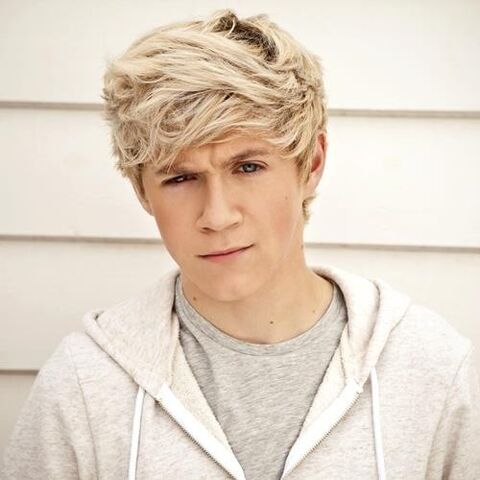 File:1Derful-3-niall-horan-28938739-500-500.jpg