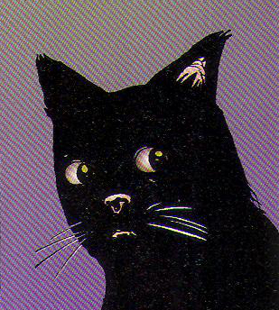 File:The cat.jpg