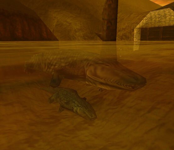 File:Crocs 5.jpg