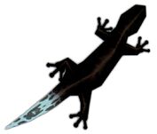 WhiteTailedLizard.jpg