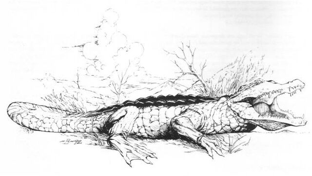 File:Afanc.jpg