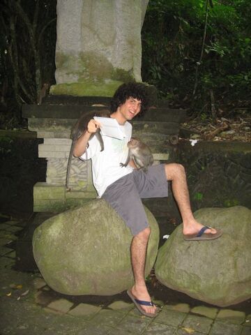 File:Gabe monkey.jpg