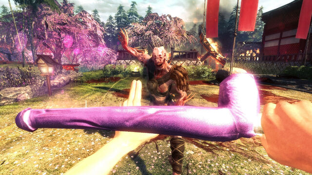 File:Shadow-warrior-egmr-5.jpg