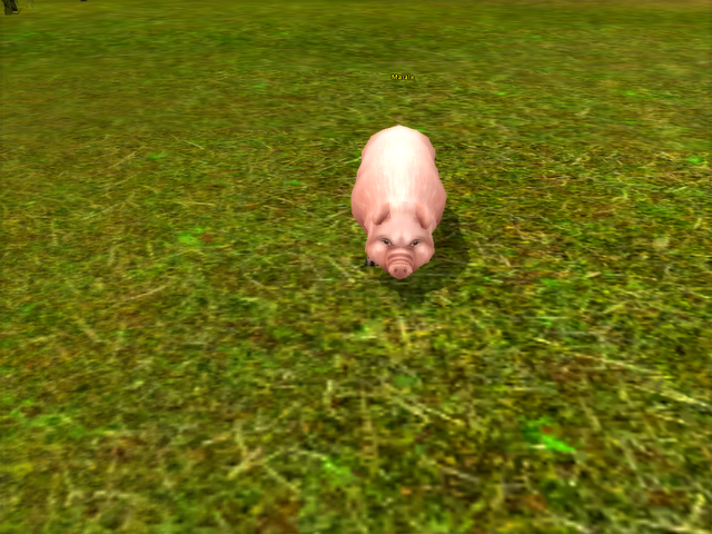 File:Maiale.png