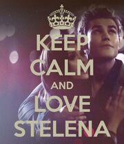Keep Calm Stelena