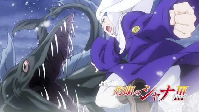 File:Final ep11 eyecatch2.jpg